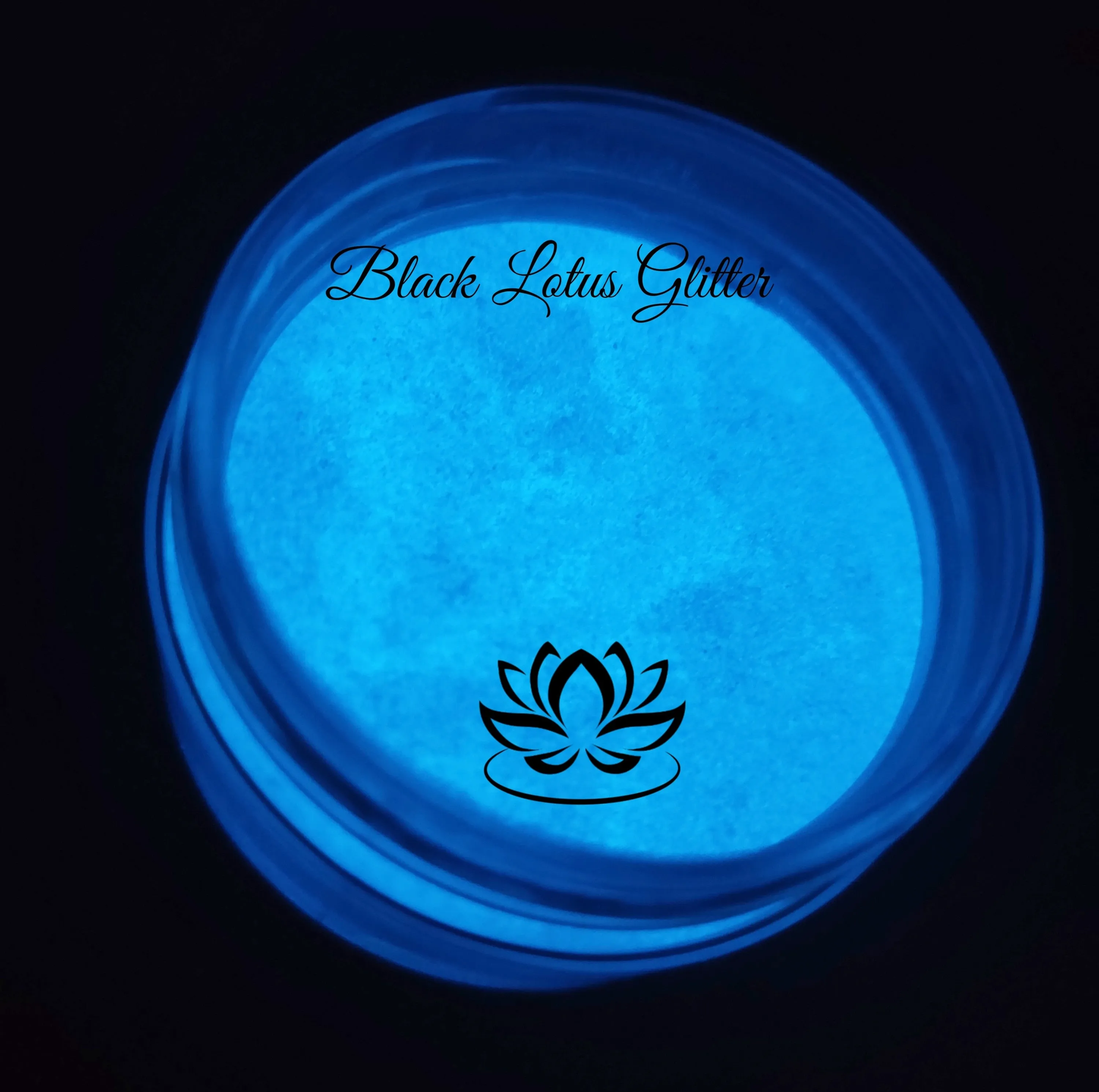 Blue Ipomoea
