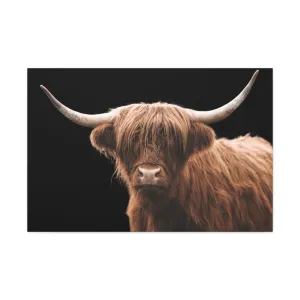 Canvas Gallery Wrap Highland Cattle Wall Art