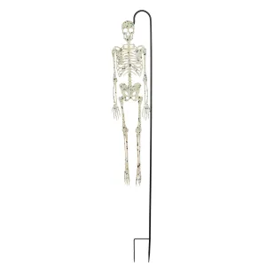 Glow in the Dark Skeleton