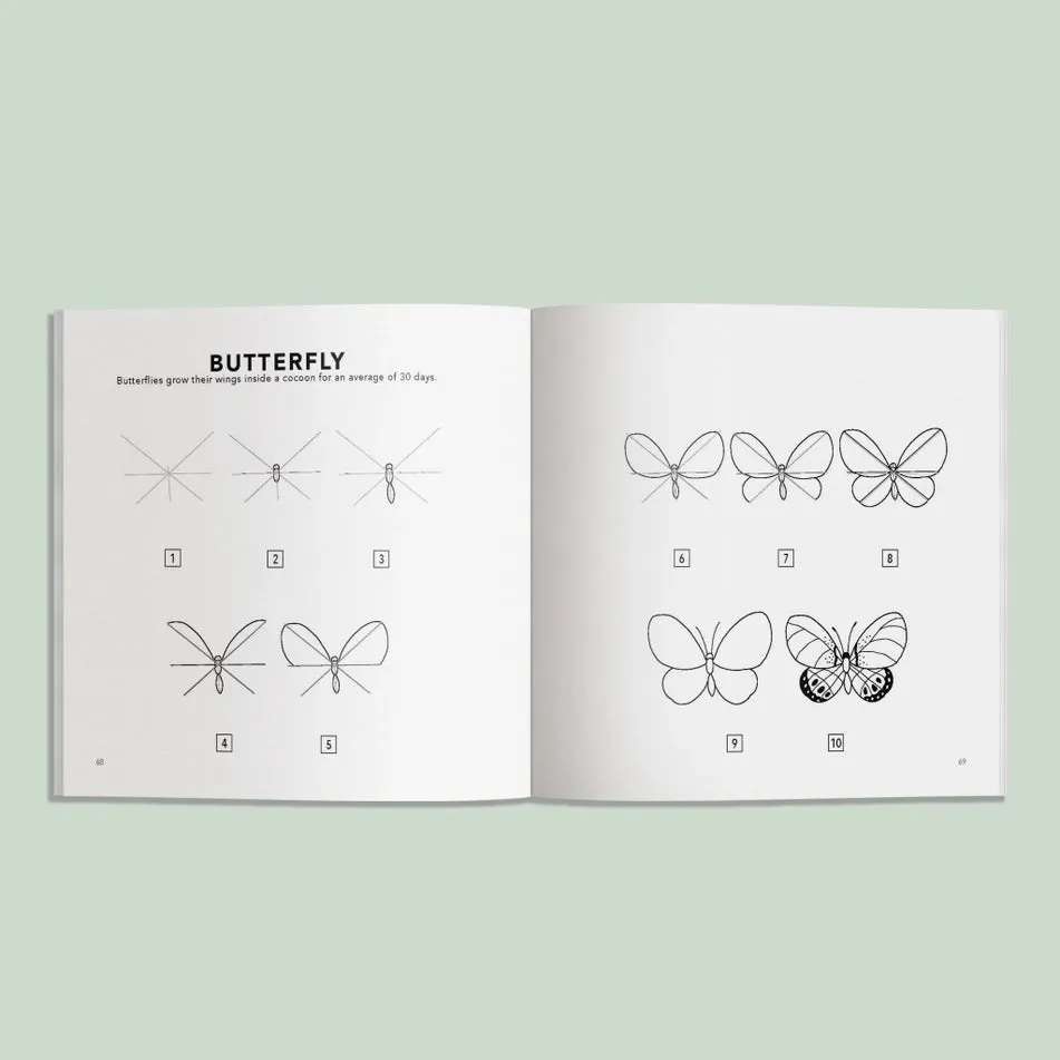 How To Draw Spring Things Book By Alli Koch