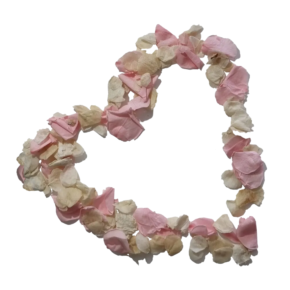 Natural Biodegradable Petals Confetti