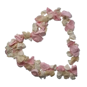 Natural Biodegradable Petals Confetti