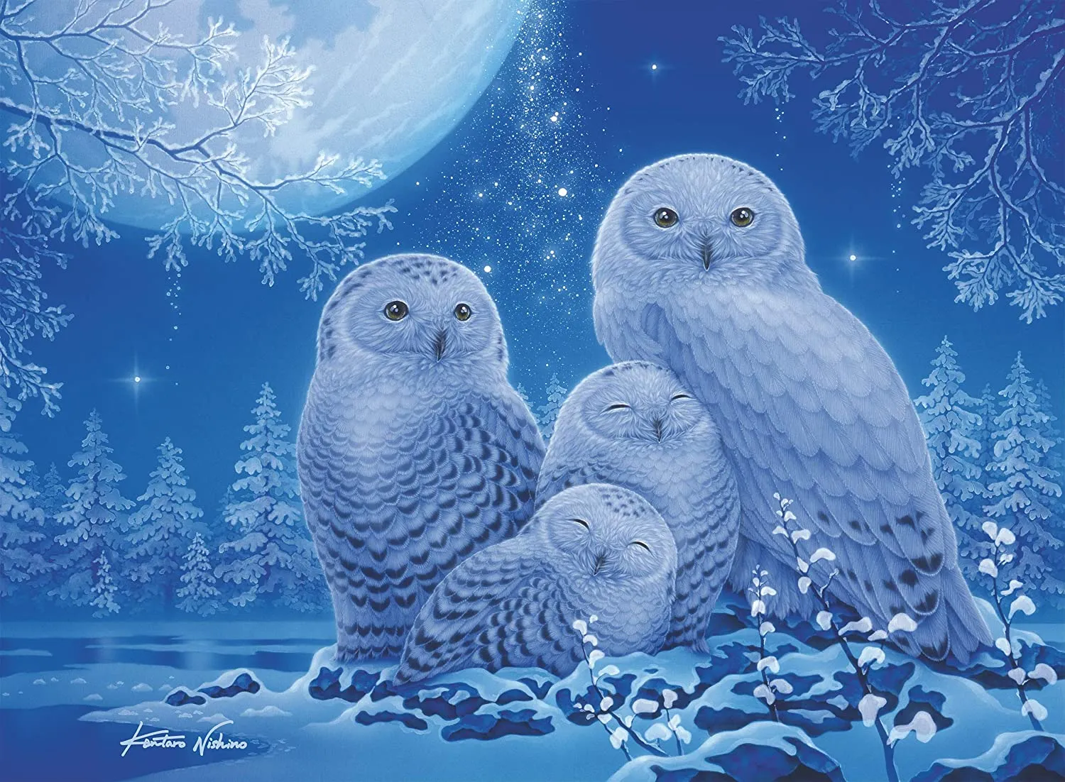 Owls in Moonlight | Star Line | Ravensburger | 500 Pieces | Jigsaw Puzzle | Glow In The Dark