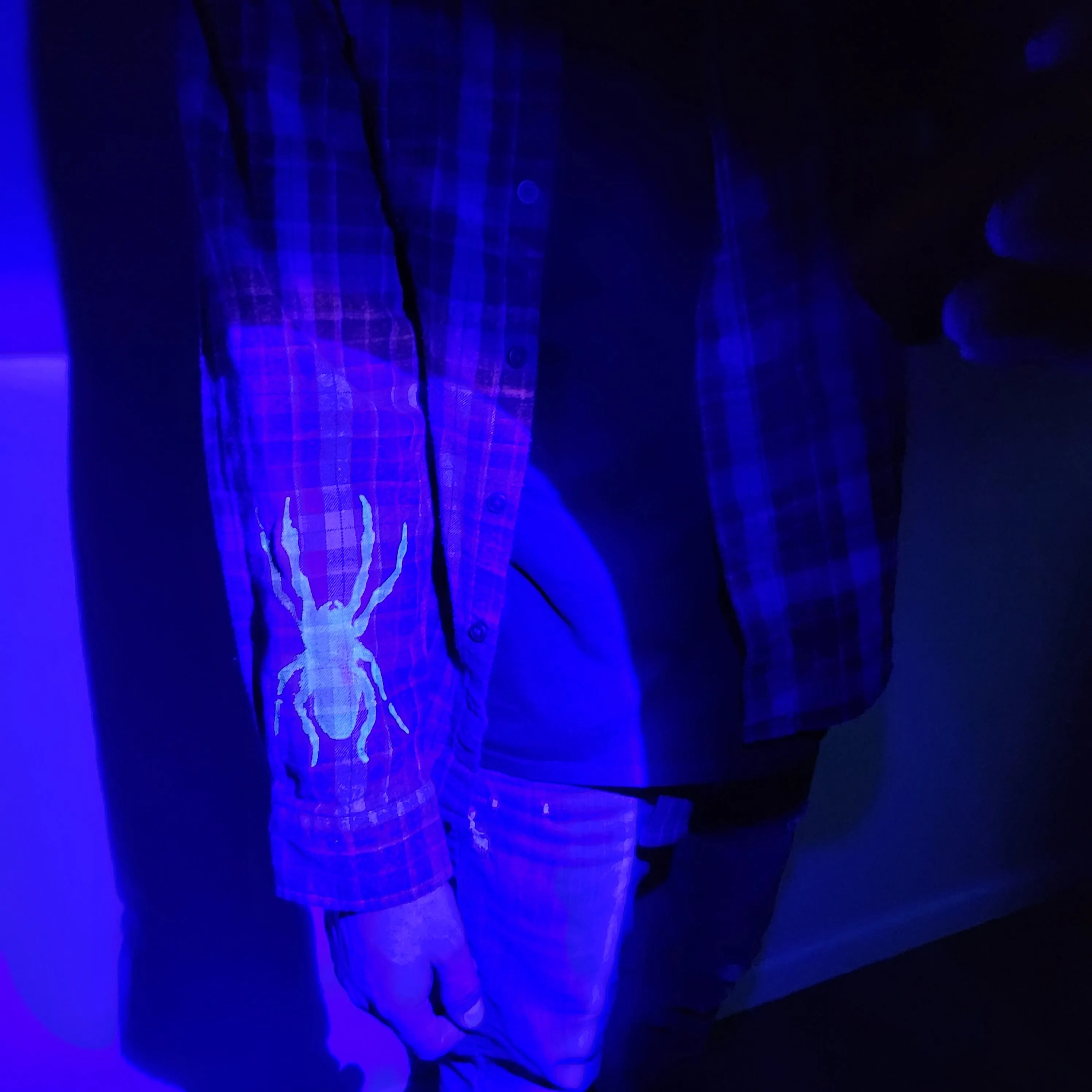 "Haunted Hunt" 2022 Flannel 8/25