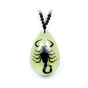 Real Black Emperor Scorpion Necklace Glow In the Dark Teardrop Real Nature Gift