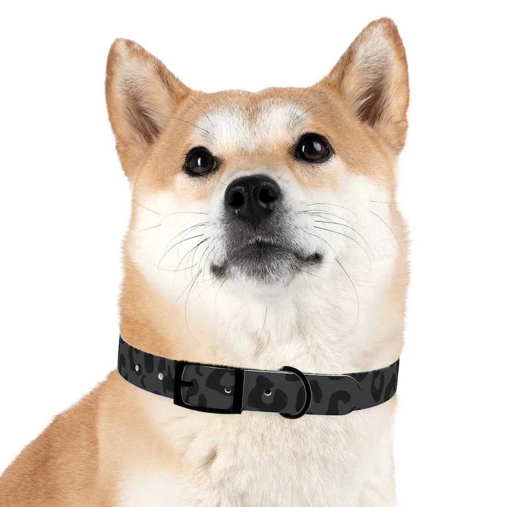 Shadow Leopard Dog Collar