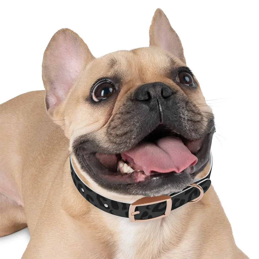 Shadow Leopard Dog Collar