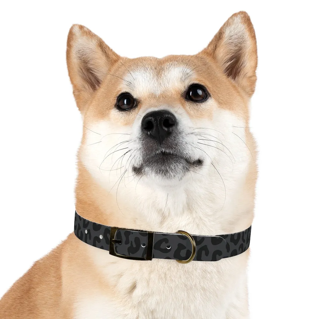 Shadow Leopard Dog Collar